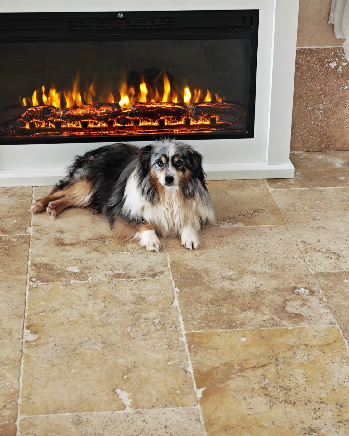 PoussiÃ¨re d Ã©toile Du Domaine Du Moulin D'Aure