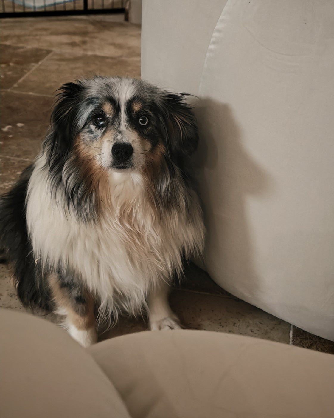 BAM du Royaume de Nohee